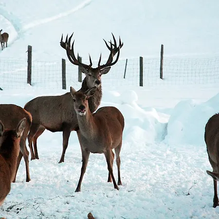 Seehotel Hartung & Отель