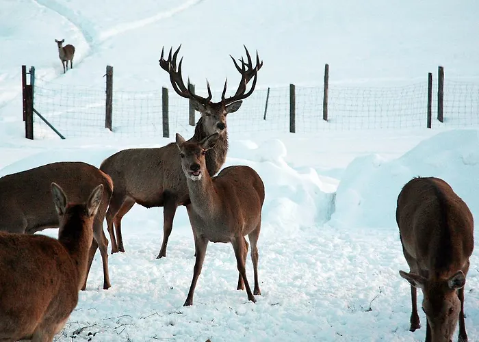 Seehotel Hartung & Отель