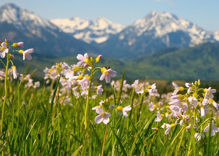 Отель Seehotel Hartung & 4*