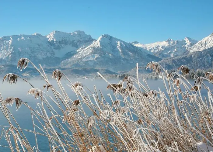 Отель Seehotel Hartung & 4*